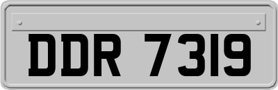 DDR7319