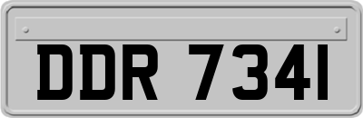 DDR7341