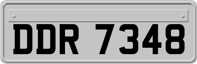 DDR7348