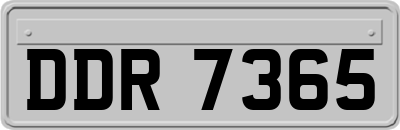 DDR7365