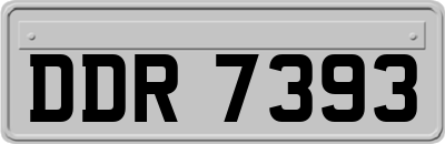 DDR7393