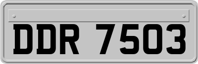 DDR7503