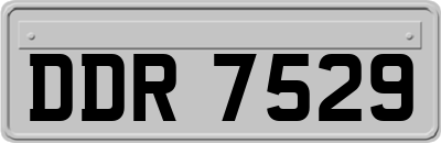 DDR7529
