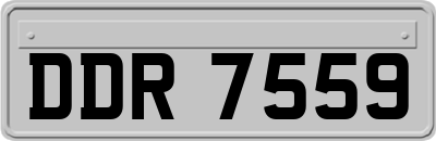 DDR7559
