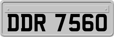 DDR7560