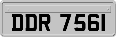 DDR7561