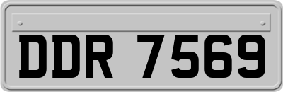 DDR7569