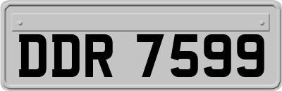 DDR7599
