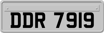 DDR7919