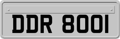DDR8001