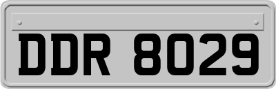 DDR8029