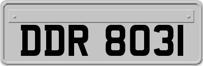 DDR8031