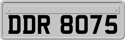 DDR8075