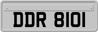 DDR8101