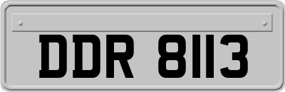 DDR8113