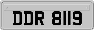 DDR8119