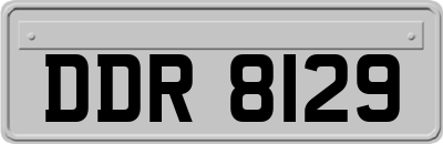 DDR8129