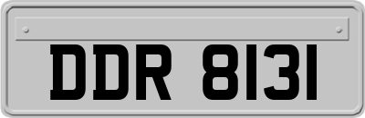 DDR8131