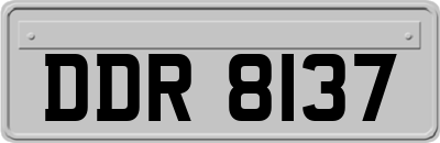 DDR8137