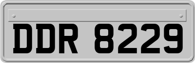 DDR8229