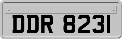 DDR8231