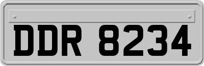 DDR8234