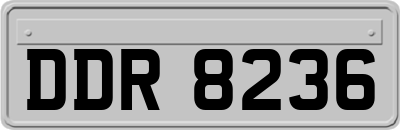 DDR8236
