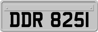 DDR8251