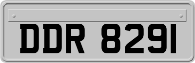 DDR8291
