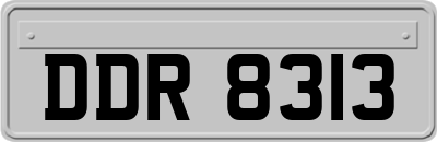 DDR8313