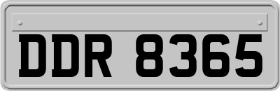 DDR8365