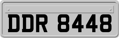 DDR8448