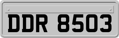 DDR8503