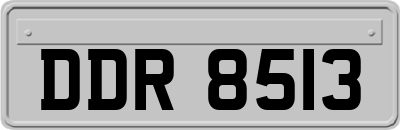 DDR8513