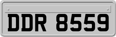 DDR8559