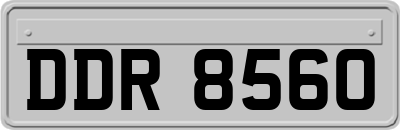 DDR8560