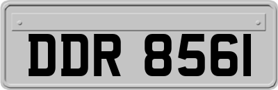 DDR8561