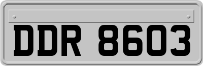 DDR8603