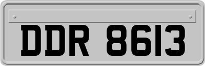 DDR8613