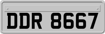 DDR8667