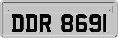 DDR8691