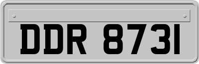 DDR8731