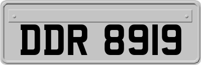 DDR8919