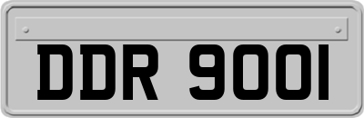 DDR9001