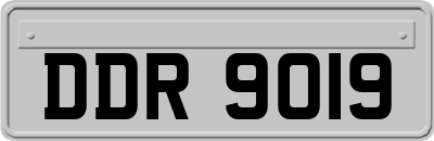 DDR9019