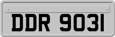 DDR9031