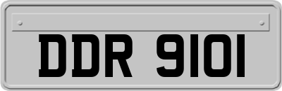 DDR9101