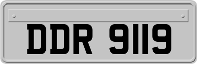 DDR9119