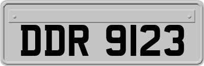 DDR9123