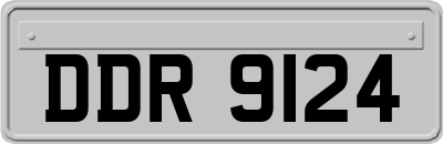 DDR9124